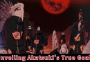[NARUTO] A Complete Look at the Akatsuki’s True Purpose — Unmasking the Charismatic Villains