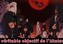 [NARUTO] Décryptage complet du véritable objectif de l’Akatsuki — À la découverte de ce groupe de charismatiques criminels