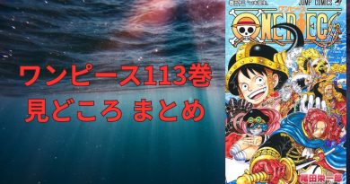 ワンピース113巻見どころまとめ