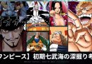 【ワンピース】初期の七武海の深掘り考察